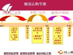 新华精选保险推出战报20页.ppt