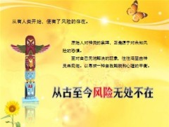 认识风险解读保险从业保险21页.ppt