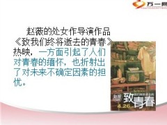 电影致青春让保险保障养老人生14页.ppt
