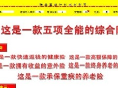 中国人寿新瑞鑫至尊版自动计划书.xls