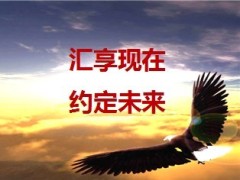 泰康汇享有约工作总结暨下阶段工作规划11页.ppt