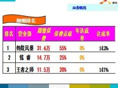 银保2013年年中报告32页.ppt