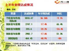 2013年下半年个险银保团险总结24页.ppt
