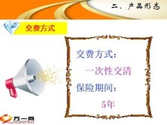 国寿鑫丰两全保险产品形态举例话术费率25页.ppt