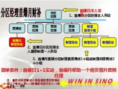 2013年赢在七月业务推动方案25页.ppt