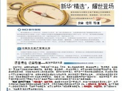 新华精选单页及使用话术.zip