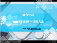 2013年三季度营销队伍建设方案29页.ppt