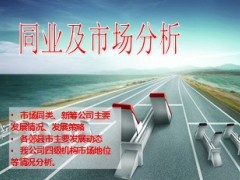 2013年分公司目前现行策略未来发展头脑风暴12页.ppt