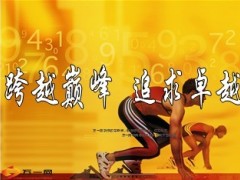 半年绩优推动课件11页.ppt