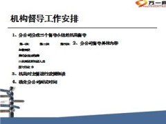 精英主管聘才计划推动规划24页.ppt