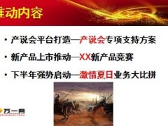 2013年激情夏日业务推动方案15页.ppt
