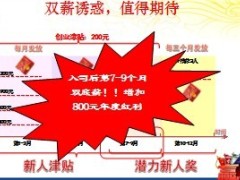 国寿2013基本法普及潜力新人奖6页.ppt