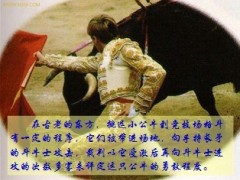 保险营业部团队挑战赛宣导片14页.ppt