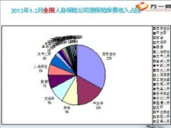 图表展示2013各保险公司市场占有率19页.ppt