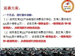 银行保险概念式销售突击队方案13页.ppt