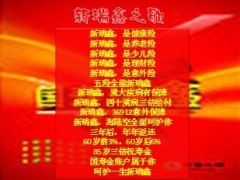中国人寿新瑞鑫之歌歌词1页.ppt