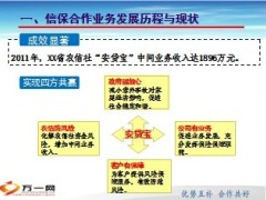 信保合作业务发展历程与现状优势太保安贷宝16页.ppt