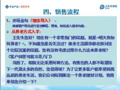 太平洋保险鸿发年年案例分享14页.ppt