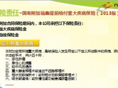 国寿2013新瑞鑫产品形态21页.ppt
