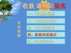 2013年银保系列8月启动大会48页.ppt