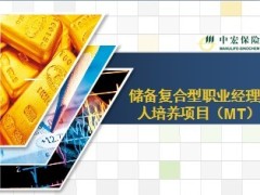 中宏人寿MT精英班项目简介23页.ppt