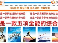 国寿2013新瑞鑫话术通关15页.ppt