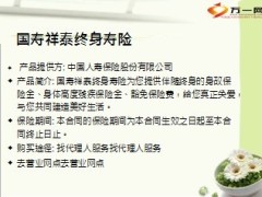 国寿祥泰终身寿险介绍6页.ppt