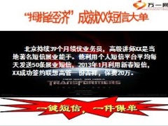 保险销售短信营销拇指经济14页.ppt