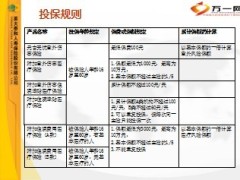英大人寿元吉无忧意外伤害保险及其附加险介绍10页.ppt