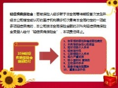 民生如意金康终身重大疾病保险产品介绍22页.ppt