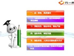 银保期交业务与趸交业务的协调发展10页.ppt