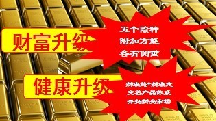 2013版中国人寿新康宁定期产品介绍24页.ppt