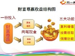 泰康财富赢家特色话术客户群体50页.ppt