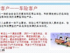 国寿2013版新康宁定期客户市场分析21页.ppt