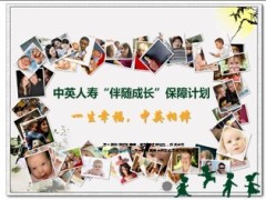 中英人寿伴随成长保障计划介绍5页.ppt