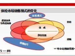 新形势下的保险市场销售模式案例分析20页.ppt