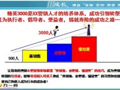 精英3000内涵诠释135销售密码解读51页.ppt