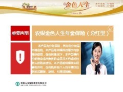 农银人寿金色人生产品解析54页.ppt