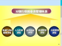 银保业务管理体系介绍35页.ppt