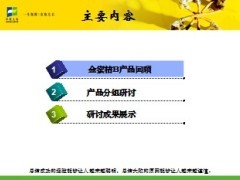 中英人寿金蜜桔B大单营销模式研讨15页.ppt