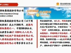 2013年阳光保险公司介绍46页.ppt