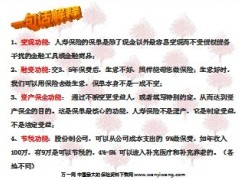 节税资产保全变现融资功能生意人更需要保险17页.ppt