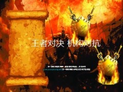 王者对决机构对抗6页.ppt
