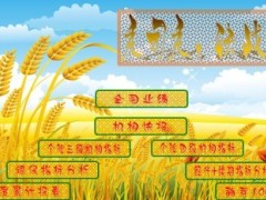 9月保险分公司综合业绩日报表9页.xls