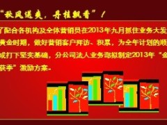 2013年法人业务部交叉销售九十激励方案40页.ppt