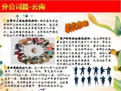 九十双飞特刊战报7页.ppt