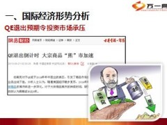 2013年最新国内外经济形势18页.ppt
