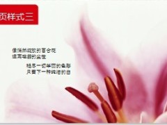 教师节PPT模板7页 .ppt