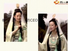 组织发展做自己的老板西游篇36页.ppt