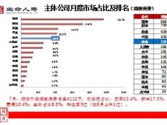 湖南银行保险2013年市场分析报告75页.ppt